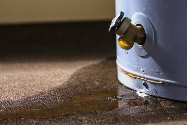 Best Water damage restoration cost  in Blanding, UT