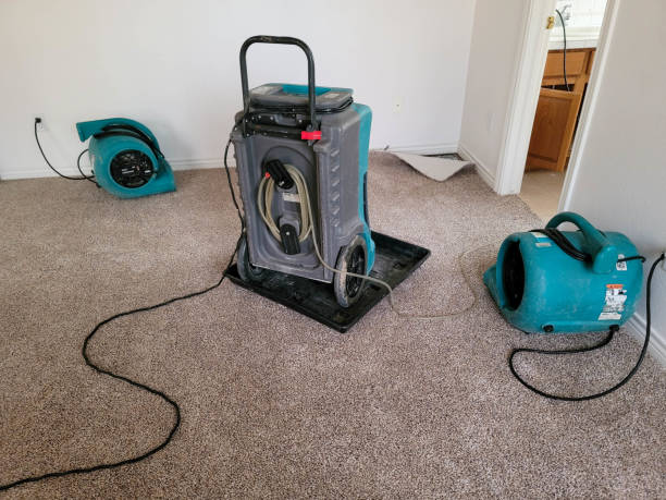 Best 24/7 water damage repair  in Blanding, UT