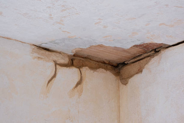 Best Water damage restoration experts  in Blanding, UT