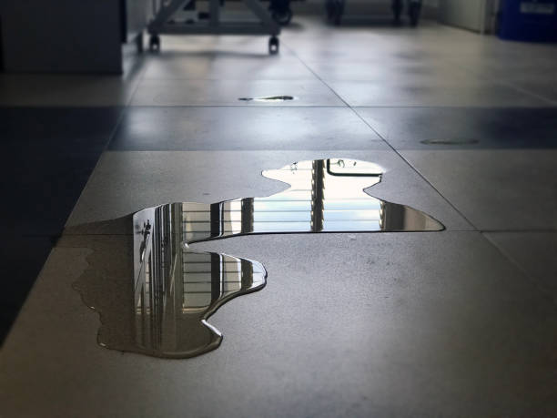 Best Water damage restoration near me  in Blanding, UT