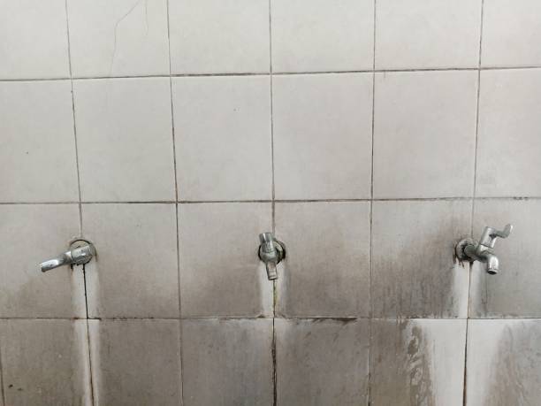 Best Water damage cleanup near me  in Blanding, UT