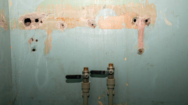 Best Fire Damage Restoration  in Blanding, UT