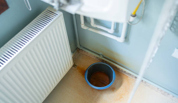 Best Carpet water damage restoration  in Blanding, UT