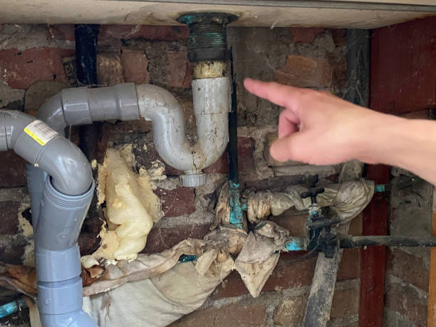 Best Emergency water damage restoration  in Blanding, UT