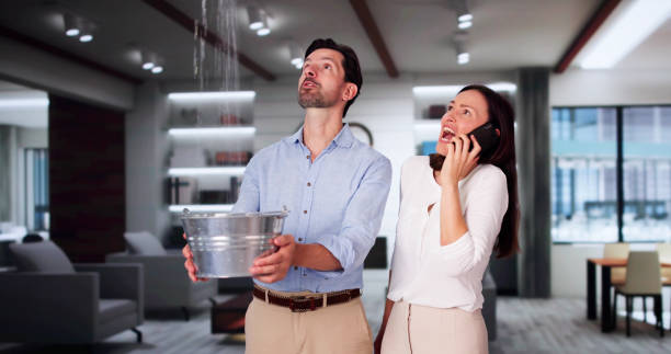 Best Ceiling water damage repair  in Blanding, UT